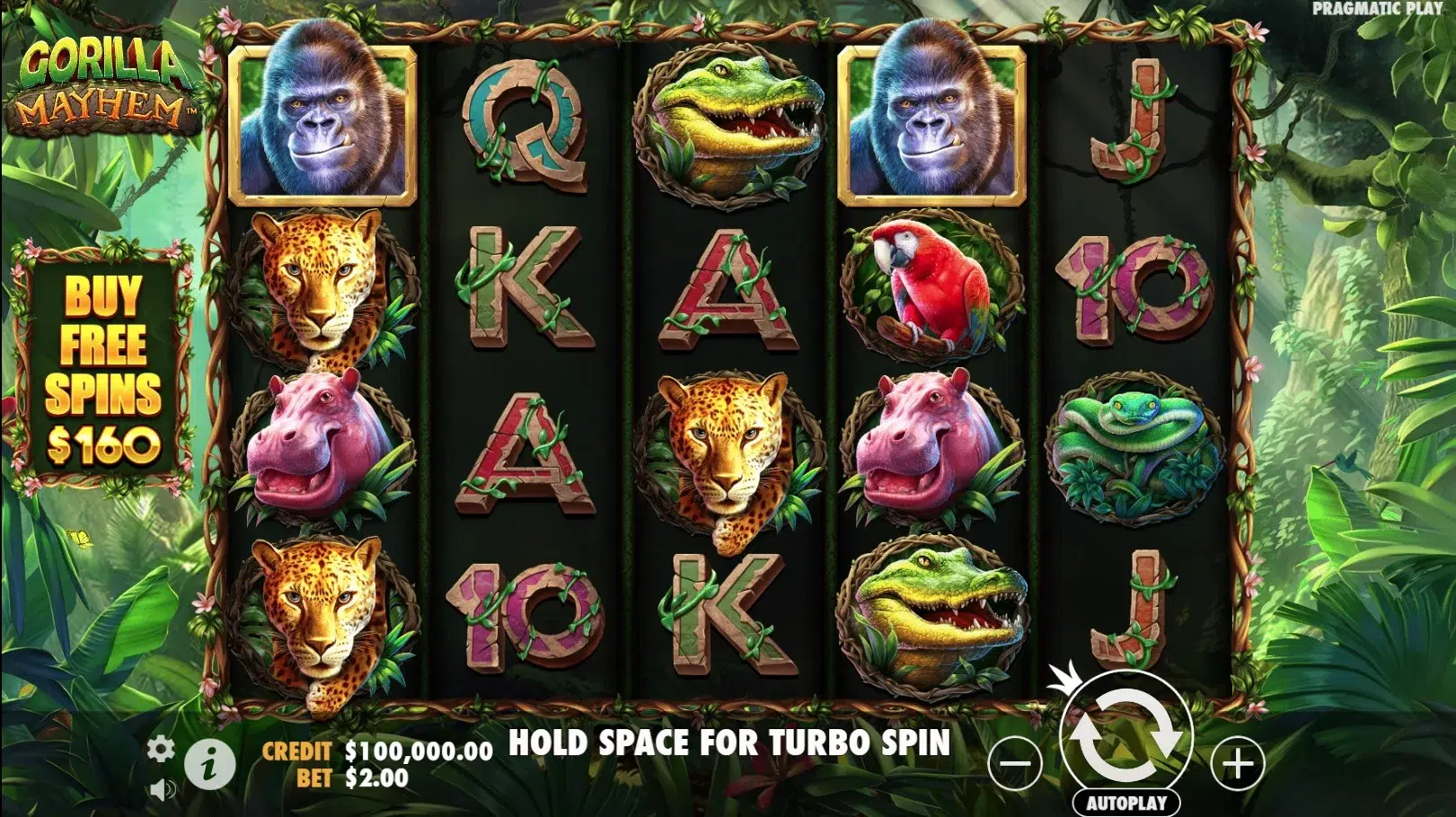 demo-overlay-image