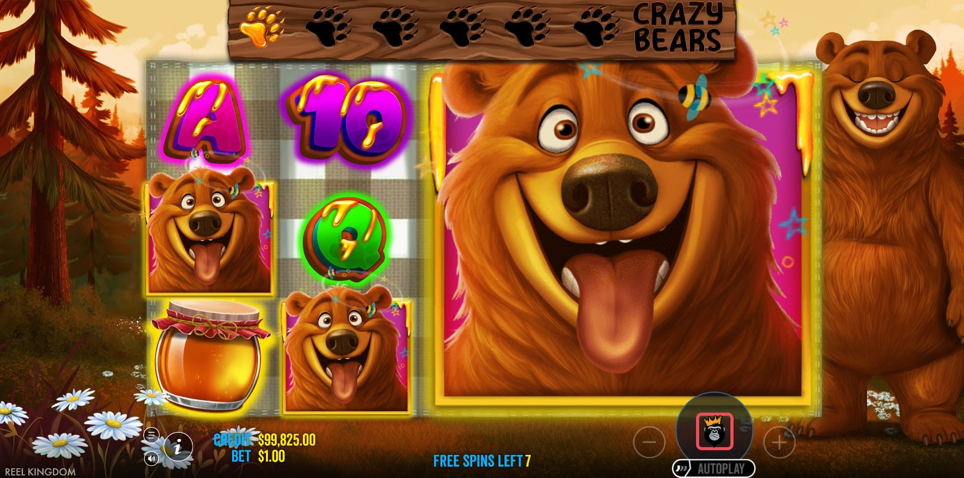 Bear Crazy slot