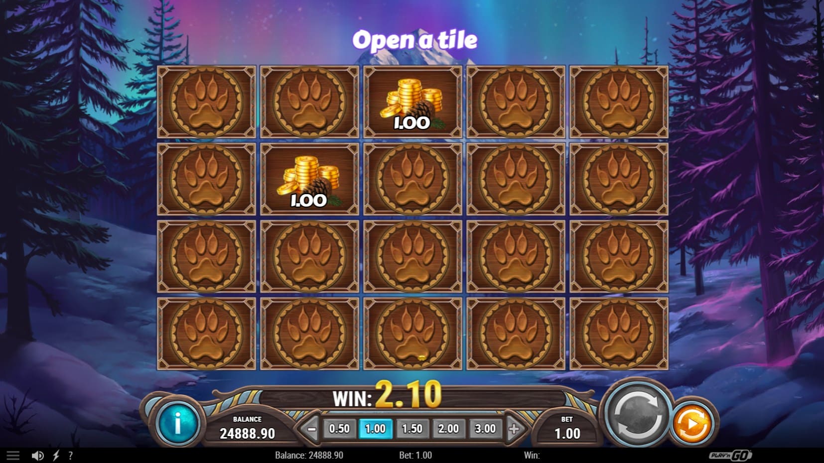 Wild North Radiant Skies Go Collect slot